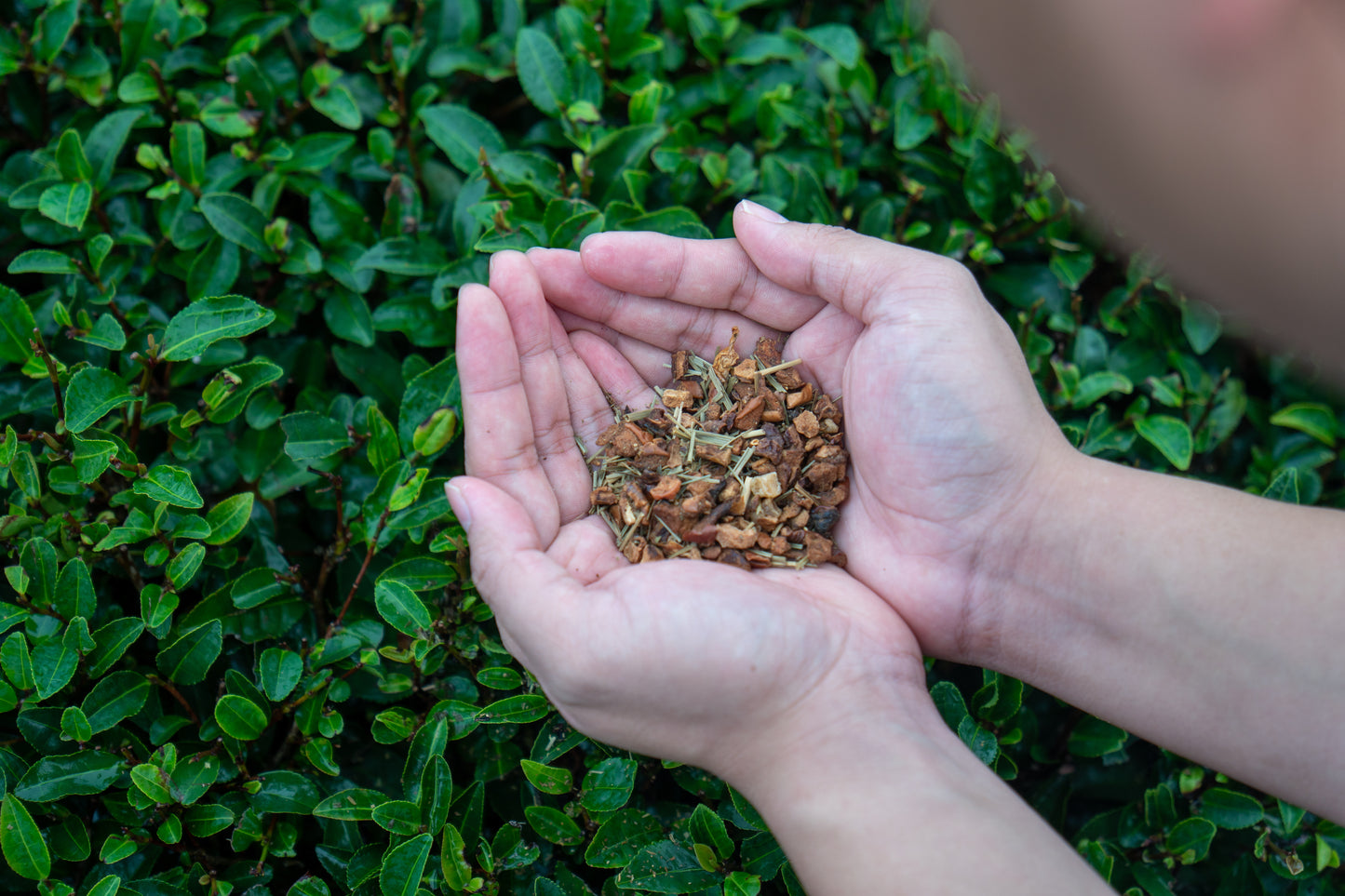 Orange Pineapple Tea | Scented Tea | Fresh & Health