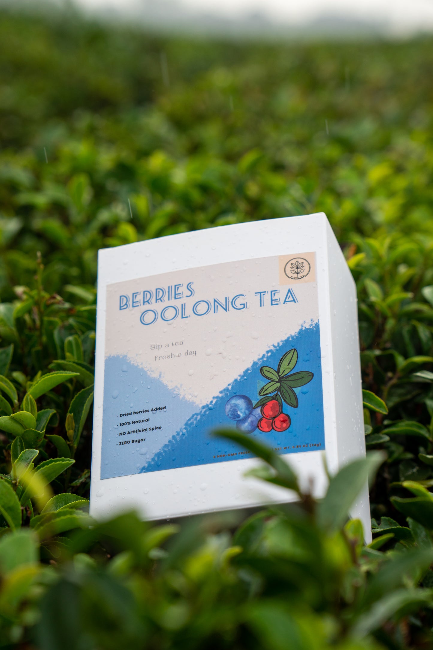 Berries Oolong Tea