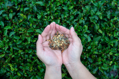 Ginger Apple Herbal Tea