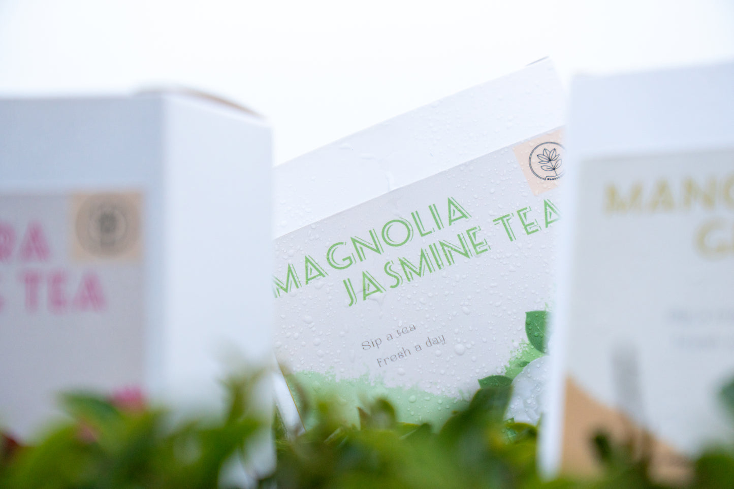 Magnolien-Jasmin-Tee